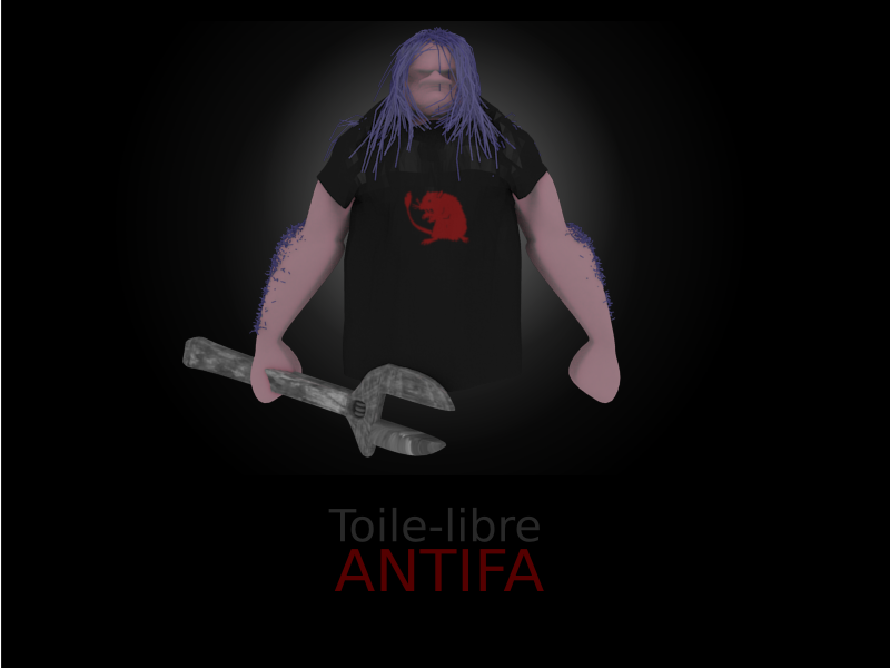 affiche toile-libre 6